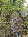 IMG_20241026_145426