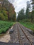IMG_20241026_144927