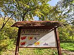 IMG_20241027_103442