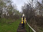 IMG_20241031_123757