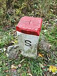 IMG_20241011_124158