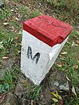 IMG_20241011_124204
