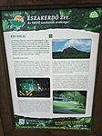 IMG_20241011_124133