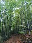 IMG_20241011_140407