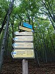 IMG_20241011_143243