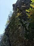 IMG_20241012_121452