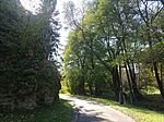 IMG_20241012_121458
