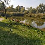 IMG_20241023_133204
