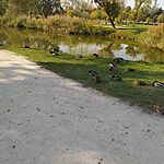 IMG_20241023_133144
