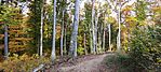 IMG_20241026_104718