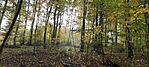 IMG_20241026_105120