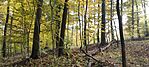 IMG_20241026_105126