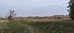 IMG_20241026_105752
