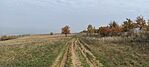 IMG_20241026_110942