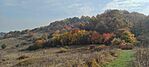 IMG_20241026_115516