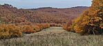 IMG_20241026_144743