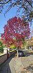 IMG_20241027_101646
