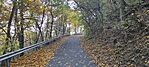 IMG_20241027_123813