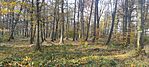IMG_20241027_143907