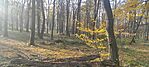 IMG_20241027_143912