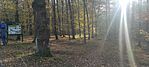 IMG_20241027_144856