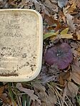 IMG_20241029_103000