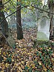 IMG_20241029_155431