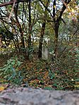 IMG_20241029_155343