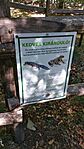 IMG_20241001_115012
