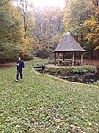 IMG_20241026_124421_963