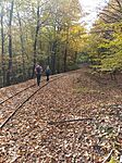 IMG_20241026_120416_078