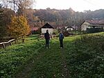 IMG_20241026_104929_187