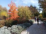 IMG_20241027_113909_684