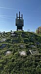 IMG_3379