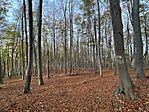 IMG_5501