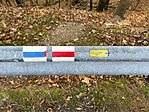 IMG_5538