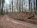 IMG_5512