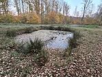 IMG_5556