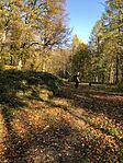 IMG_6557