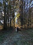 IMG_6561