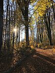 IMG_6562