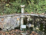IMG_8103