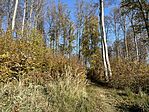 IMG_8173