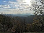 C13639D8-3B78-493C-A475-CA15D568280F