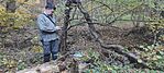 IMG_20241029_141103