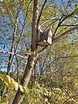 IMG_20241102_083733