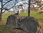 IMG_20241110_094101