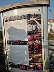 IMG_20241110_095051