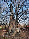 IMG_20241110_100022