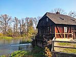 IMG_20241110_103525